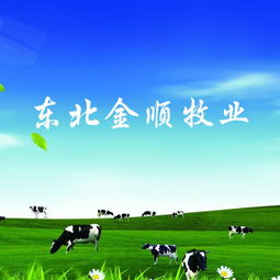 長春做網(wǎng)站公司 網(wǎng)站建設 網(wǎng)站設計 微信平臺制作 億人科技13756566613,18946773937,18186893973