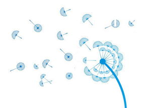 攜手長春網(wǎng)站建設(shè)，打造企業(yè)專屬的數(shù)字化門戶