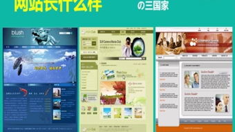 網站建設 打造您的在線門戶