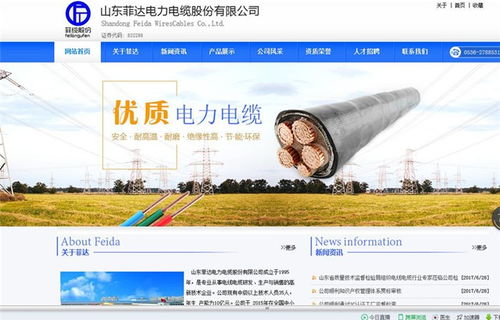 高密網(wǎng)站建設(shè)服務(wù)，為何鳳鳴網(wǎng)絡(luò)備受青睞？