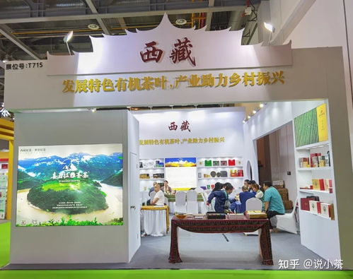 西藏茶園 高原之上的茶香秘境